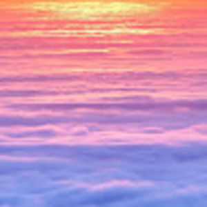 Meet your Posher, Isabel